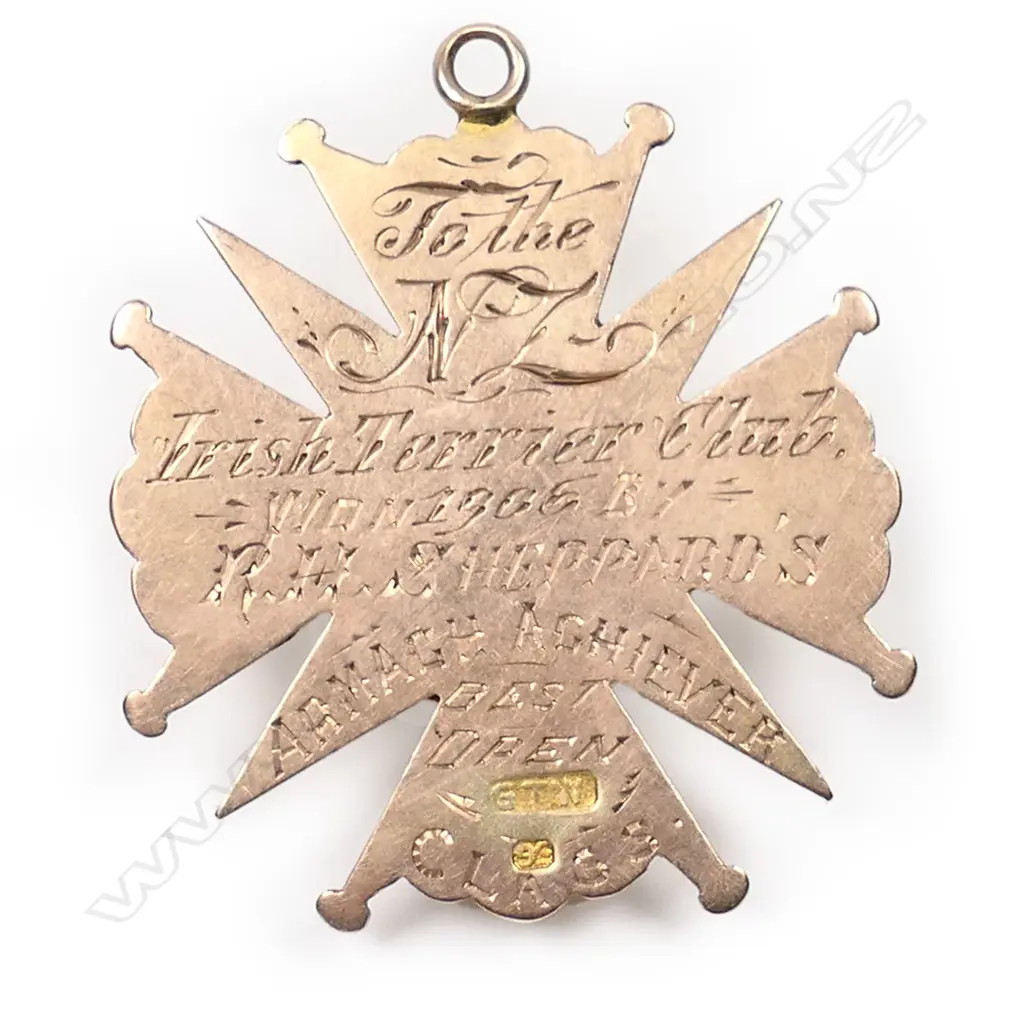George Thomas White Irish Terrier Club 9ct gold fob medal 1906, Image 1++